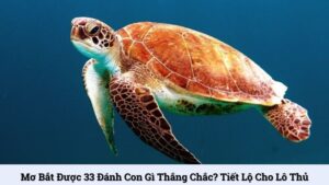 Mơ bắt được 33 đánh con gì thắng chắc? Tiết lộ cho lô thủ