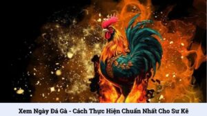 Xem ngày đá gà - Cách thực hiện chuẩn nhất cho sư kê