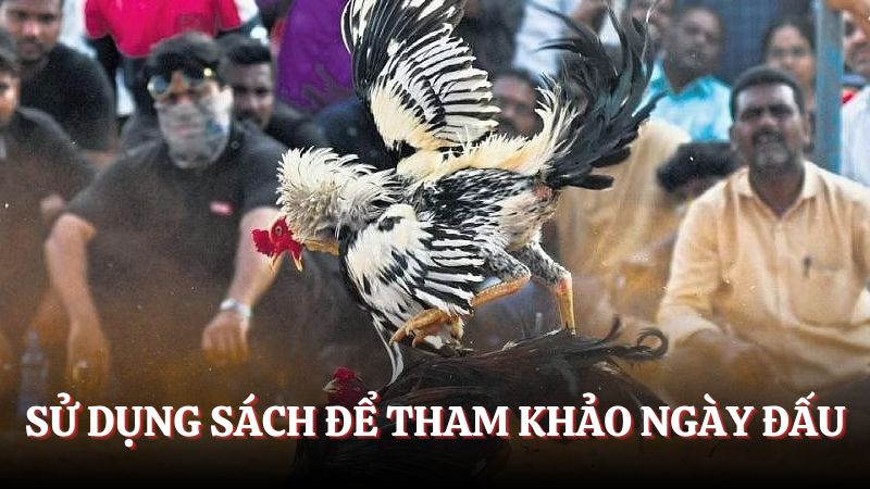 Hướng dẫn xem ngày đá gà dựa theo sách